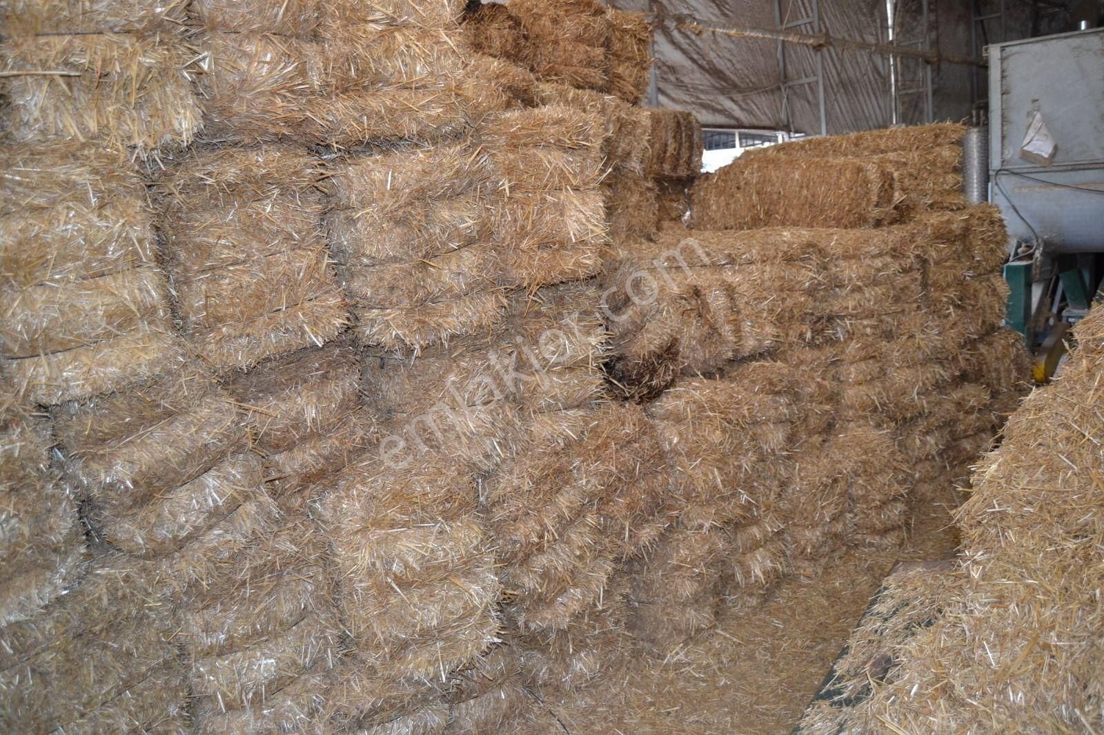 Devren Satılık Mantar Üretim Fabrikası - Görsel 32