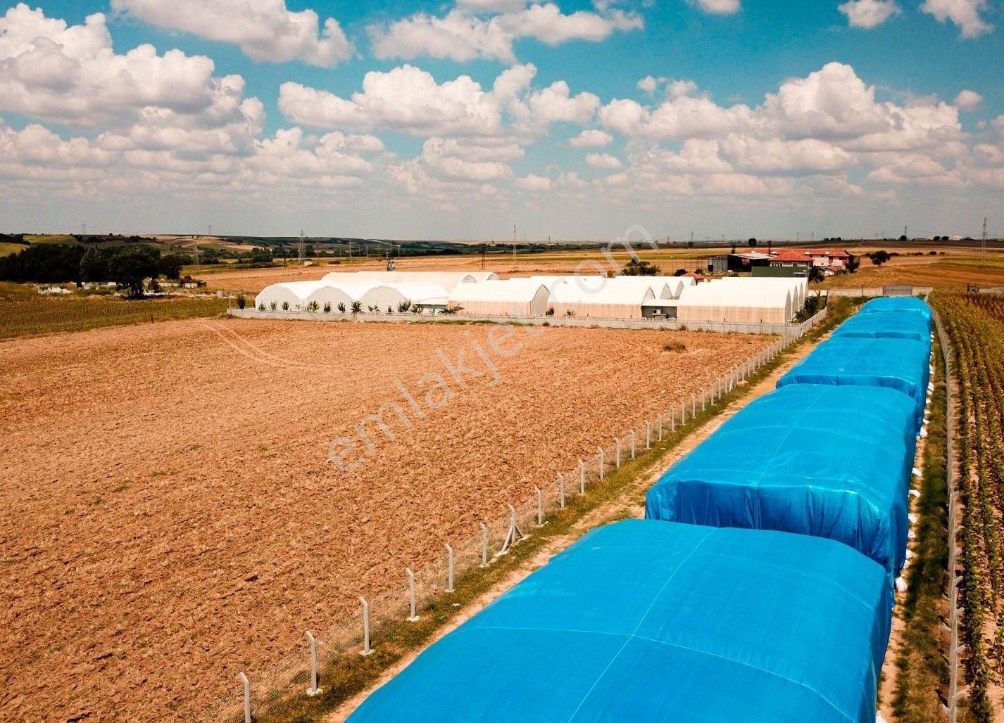 Devren Satılık Mantar Üretim Fabrikası - Görsel 26