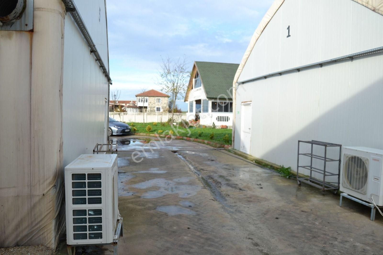 Devren Satılık Mantar Üretim Fabrikası - Görsel 33