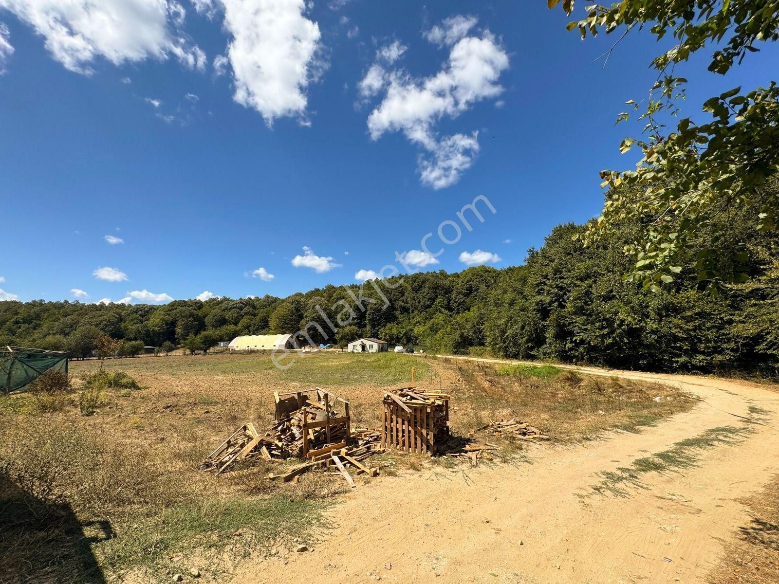 Çatalcada Kiralık 12.512m2 Ticari Arazi - Görsel 10