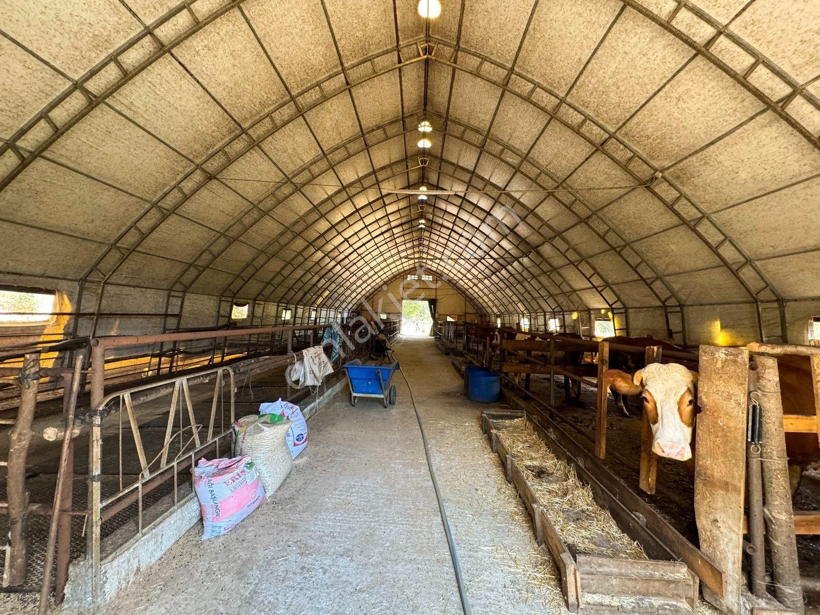 Çatalcada Kiralık 12.512m2 Ticari Arazi - Görsel 9