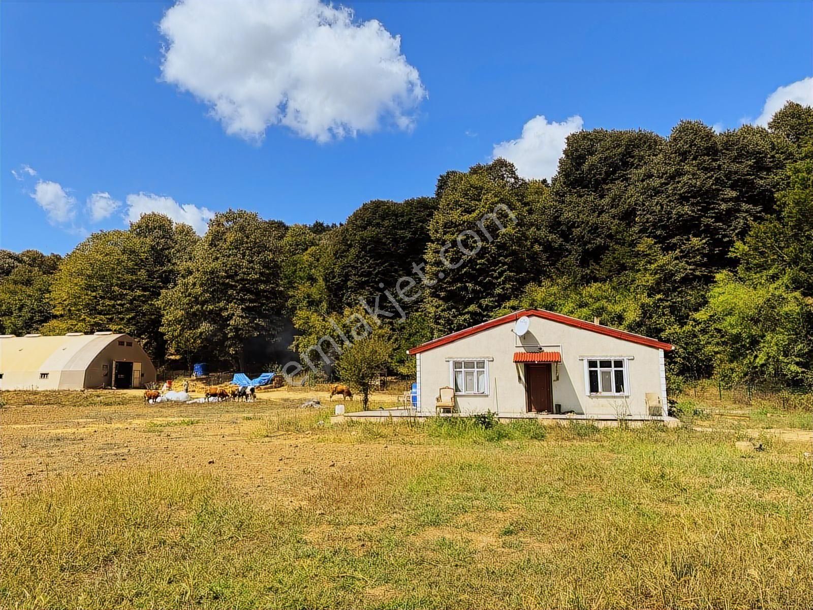 Çatalcada Kiralık 12.512m2 Ticari Arazi - Görsel 12