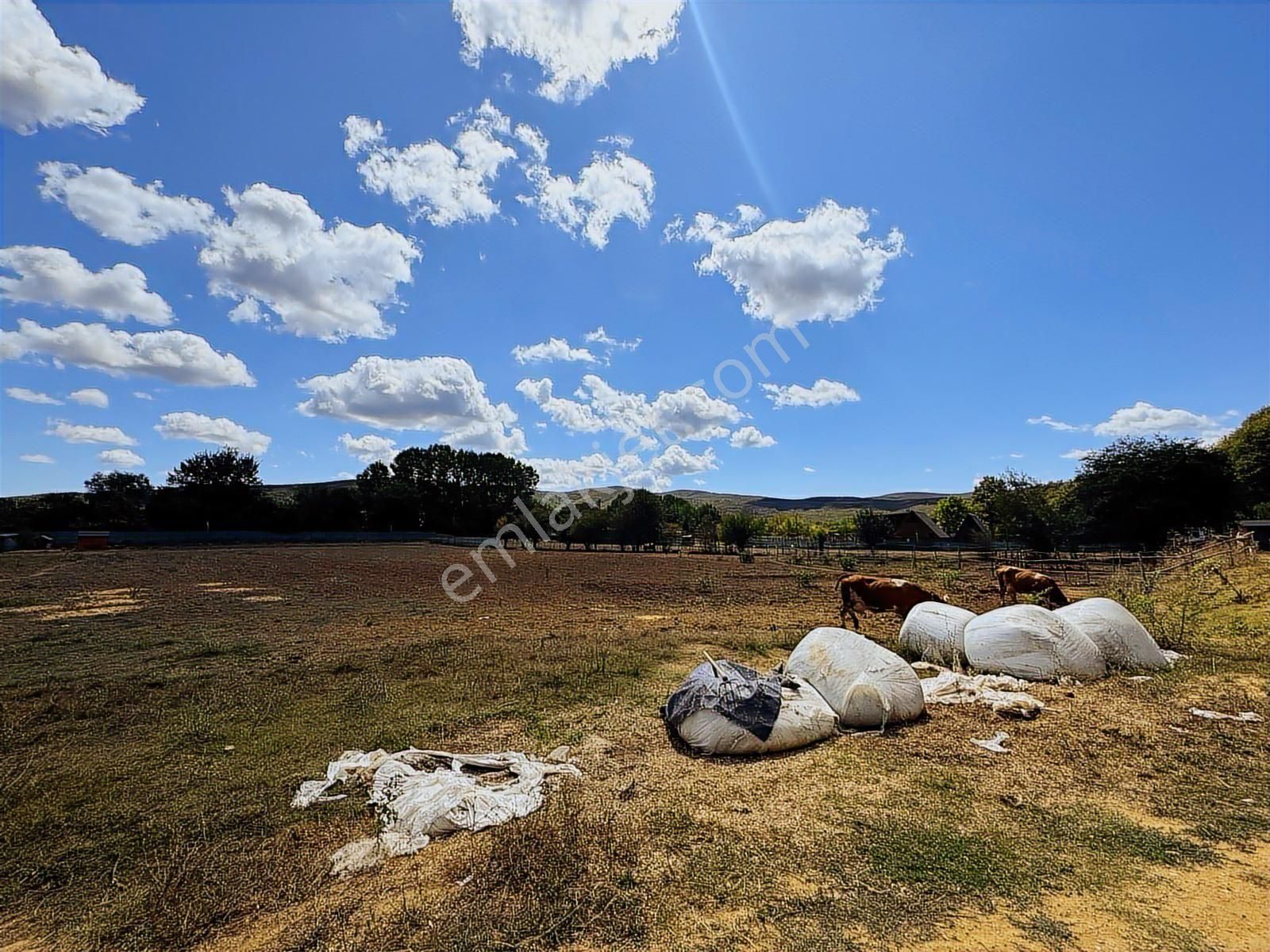 Çatalcada Kiralık 12.512m2 Ticari Arazi - Görsel 11