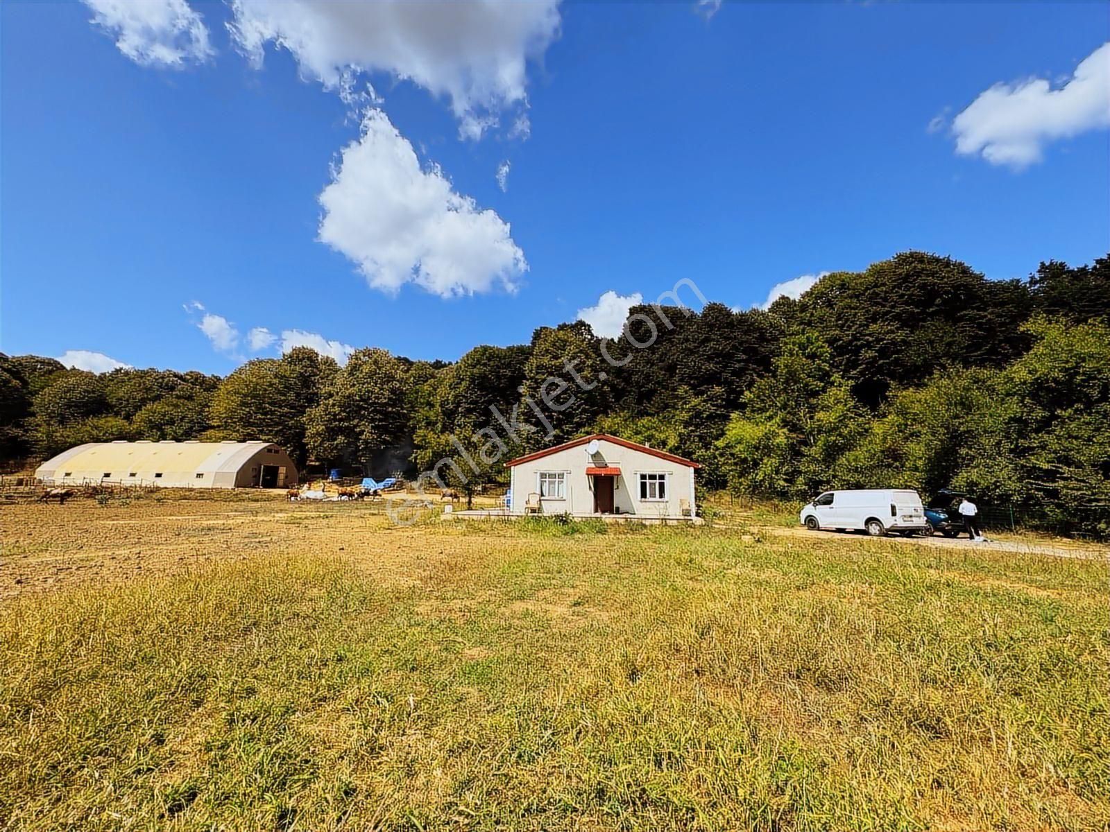 Çatalcada Kiralık 12.512m2 Ticari Arazi - Görsel 24