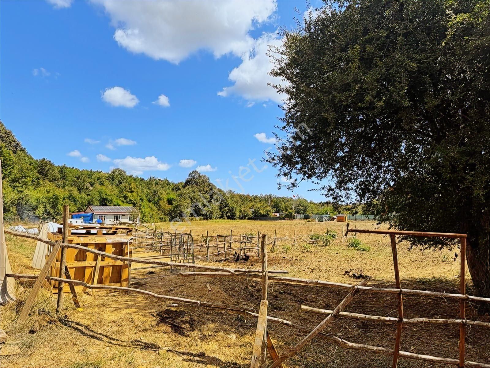 Çatalcada Kiralık 12.512m2 Ticari Arazi - Görsel 30