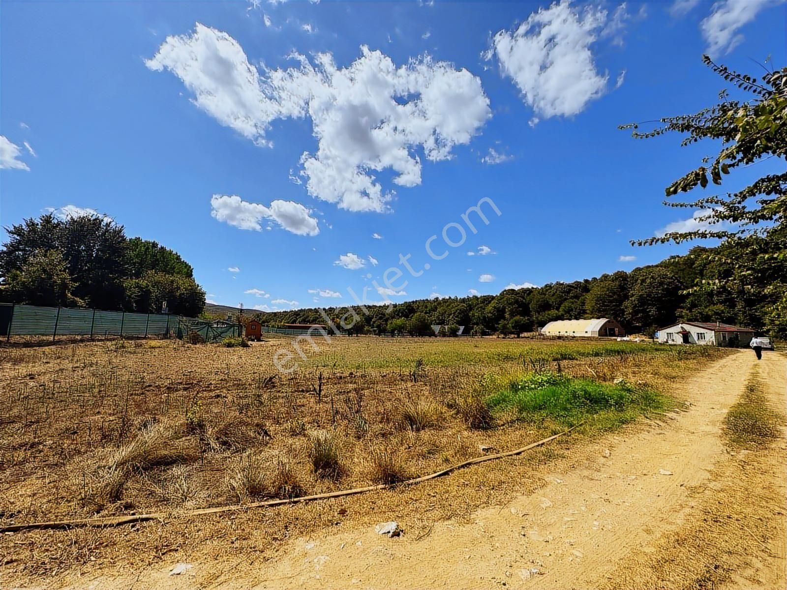 Çatalcada Kiralık 12.512m2 Ticari Arazi - Görsel 8