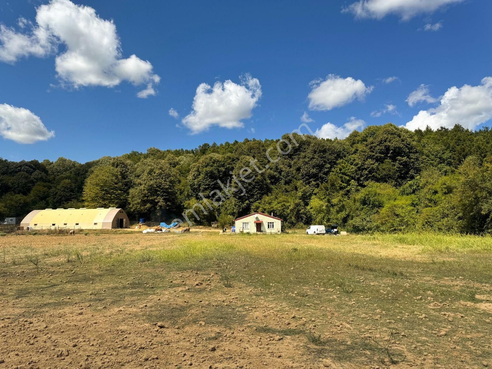 Çatalcada Kiralık 12.512m2 Ticari Arazi - Görsel 6