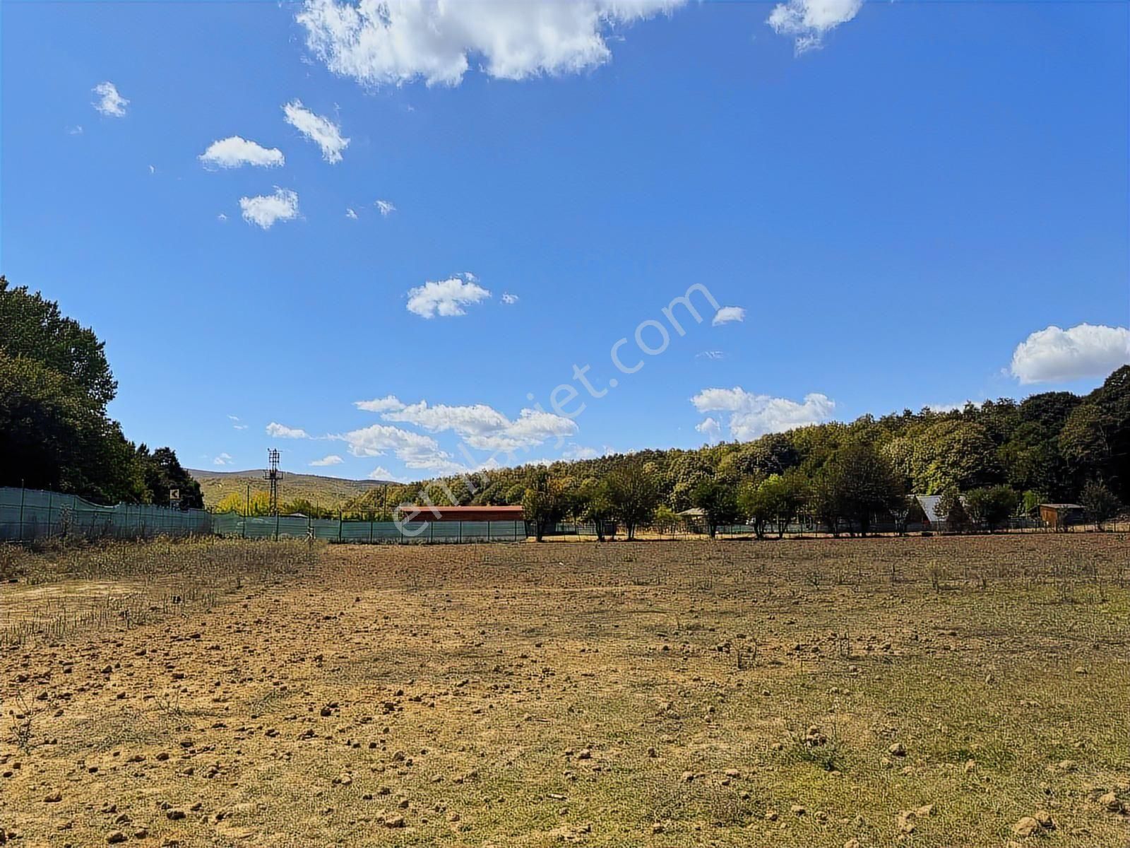 Çatalcada Kiralık 12.512m2 Ticari Arazi - Görsel 4