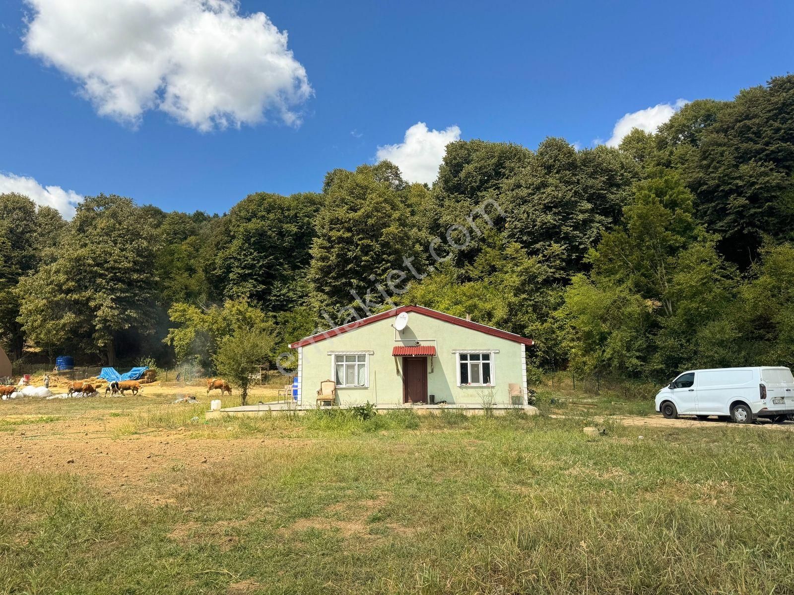 Çatalcada Kiralık 12.512m2 Ticari Arazi - Görsel 35