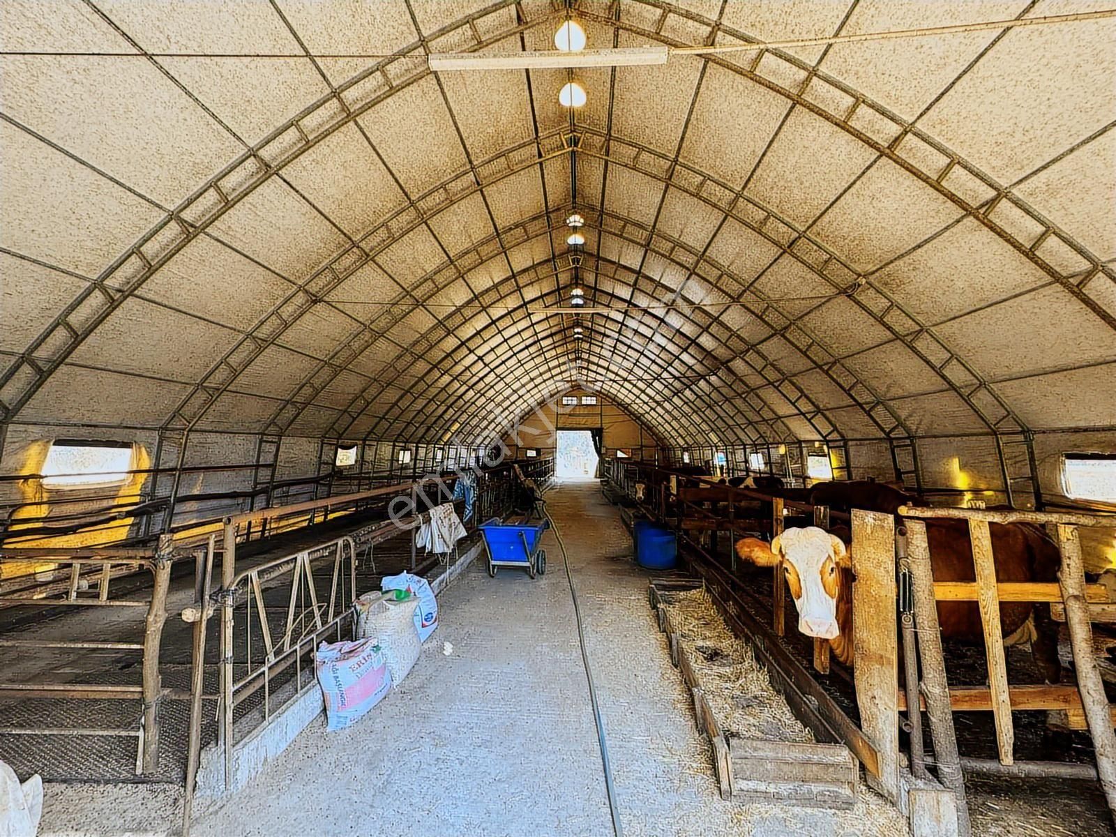 Çatalcada Kiralık 12.512m2 Ticari Arazi