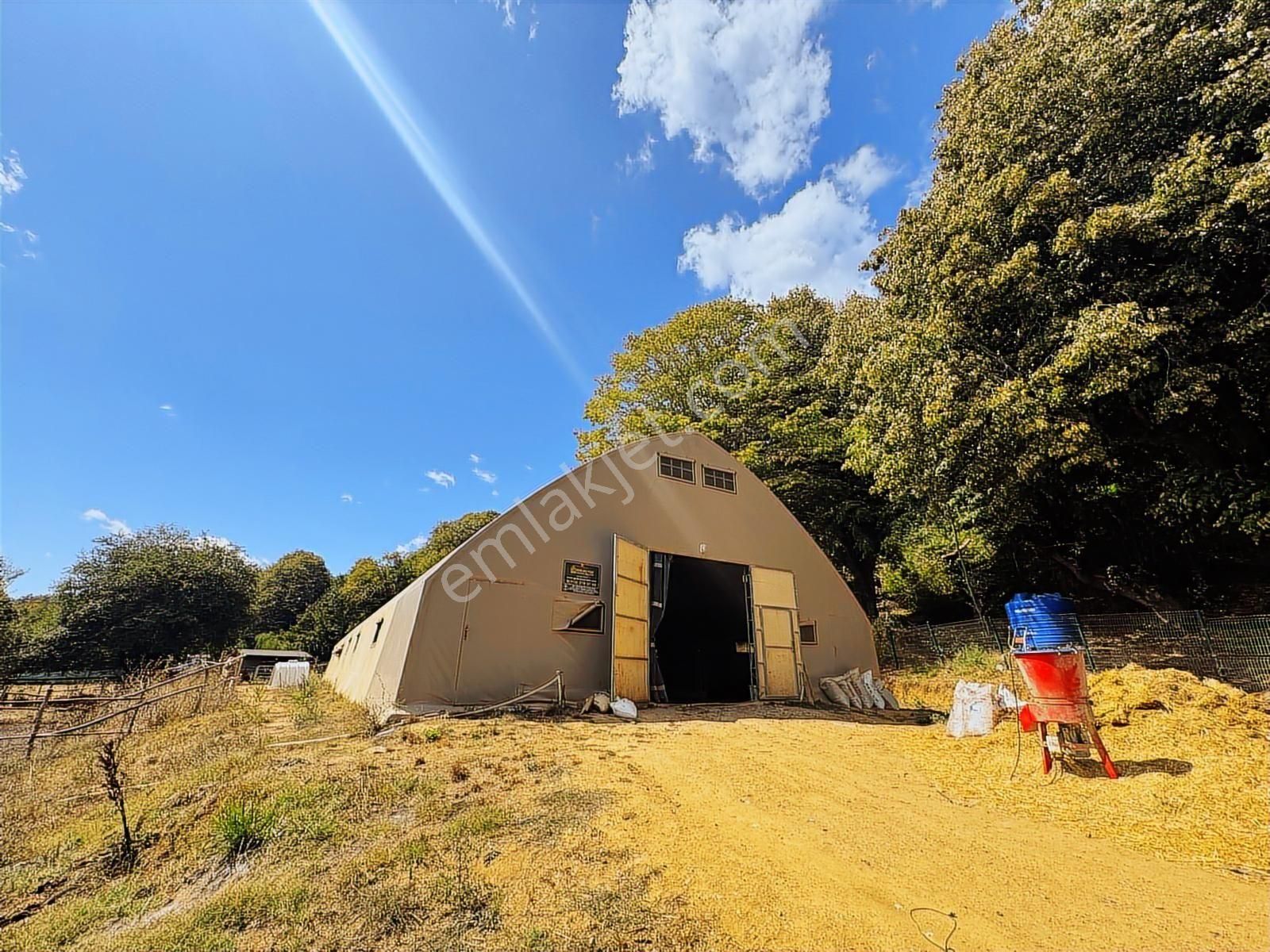 Çatalcada Kiralık 12.512m2 Ticari Arazi - Görsel 19