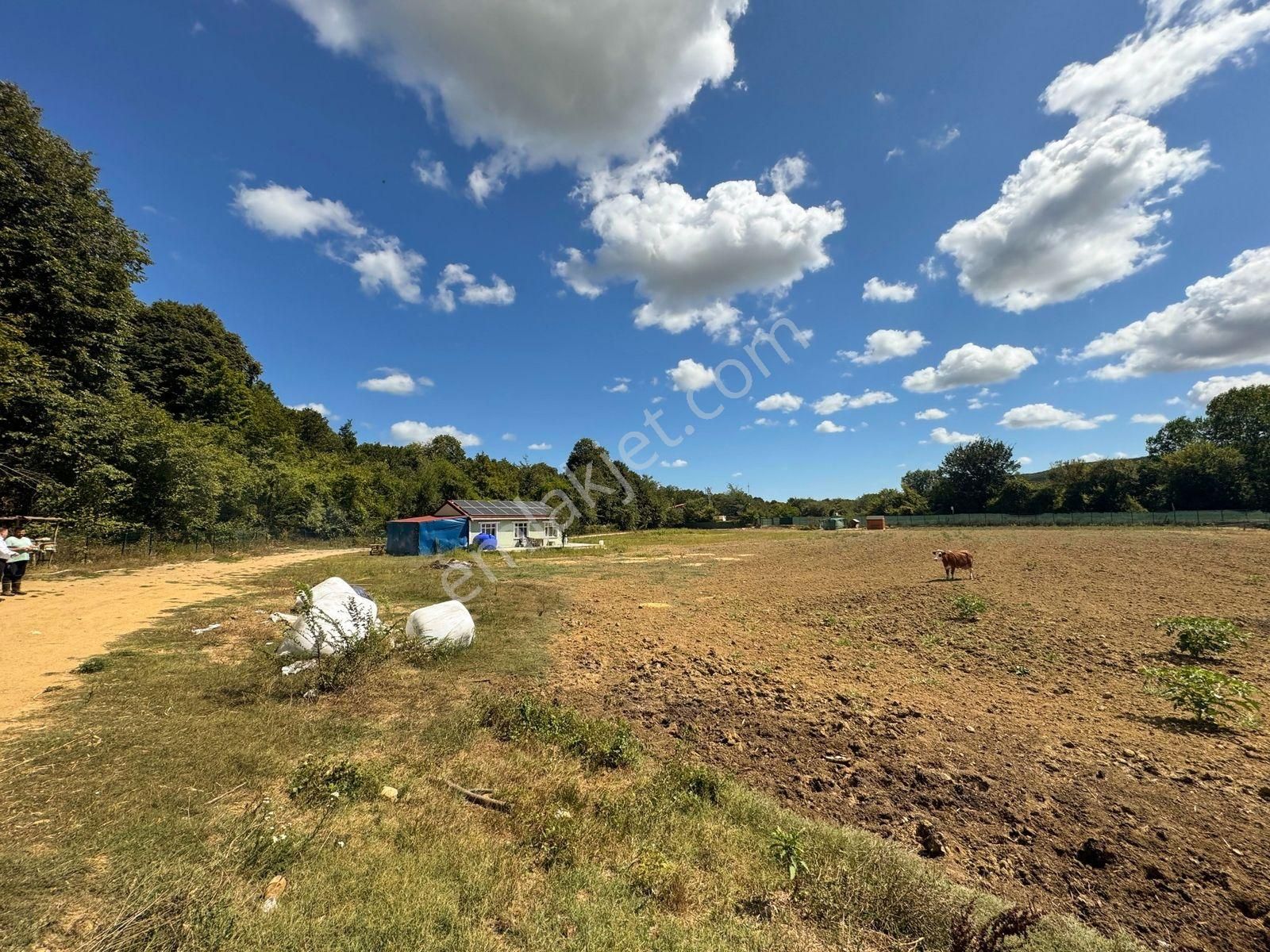 Çatalcada Kiralık 12.512m2 Ticari Arazi - Görsel 26