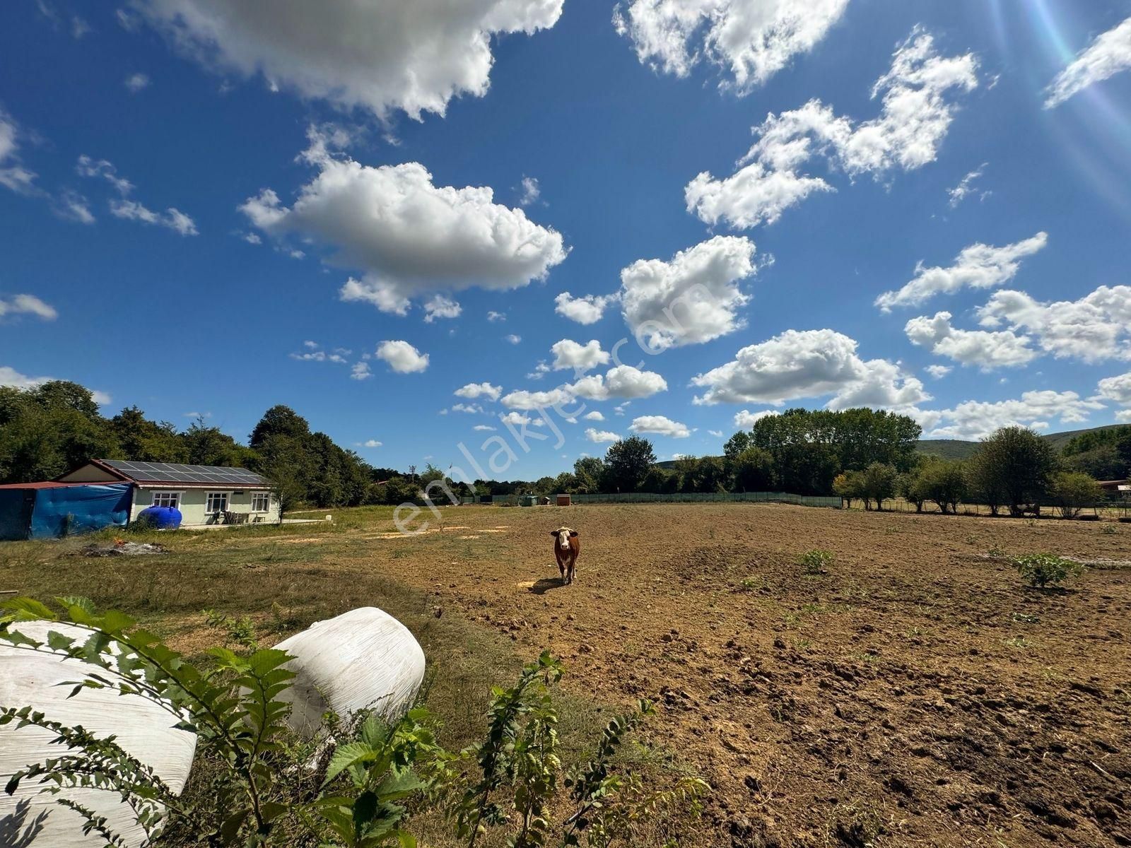 Çatalcada Kiralık 12.512m2 Ticari Arazi - Görsel 25