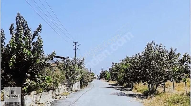 Monami'den Mükemmel Konumda Köşe Arsa Kum Denizi Karsisi - Görsel 5