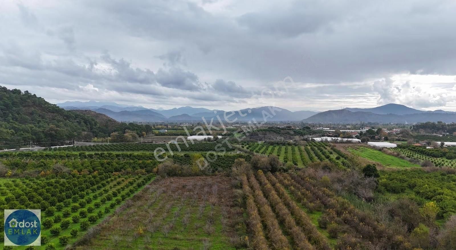 Ortaca Yeşilyurtta Acil Satılık 4175 M² Tek Tapu Şeftali Bahçesi - Görsel 28