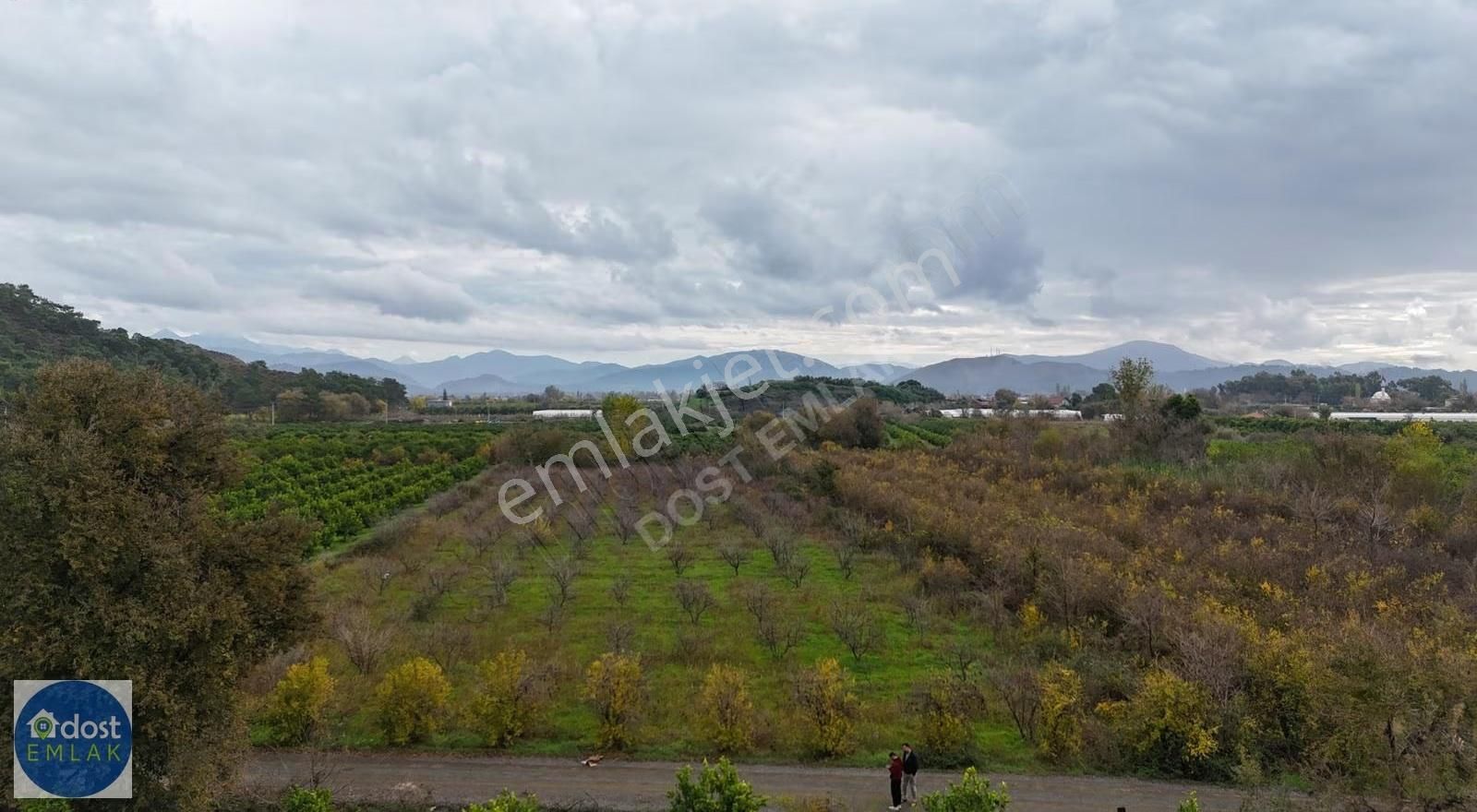 Ortaca Yeşilyurtta Acil Satılık 4175 M² Tek Tapu Şeftali Bahçesi - Görsel 25