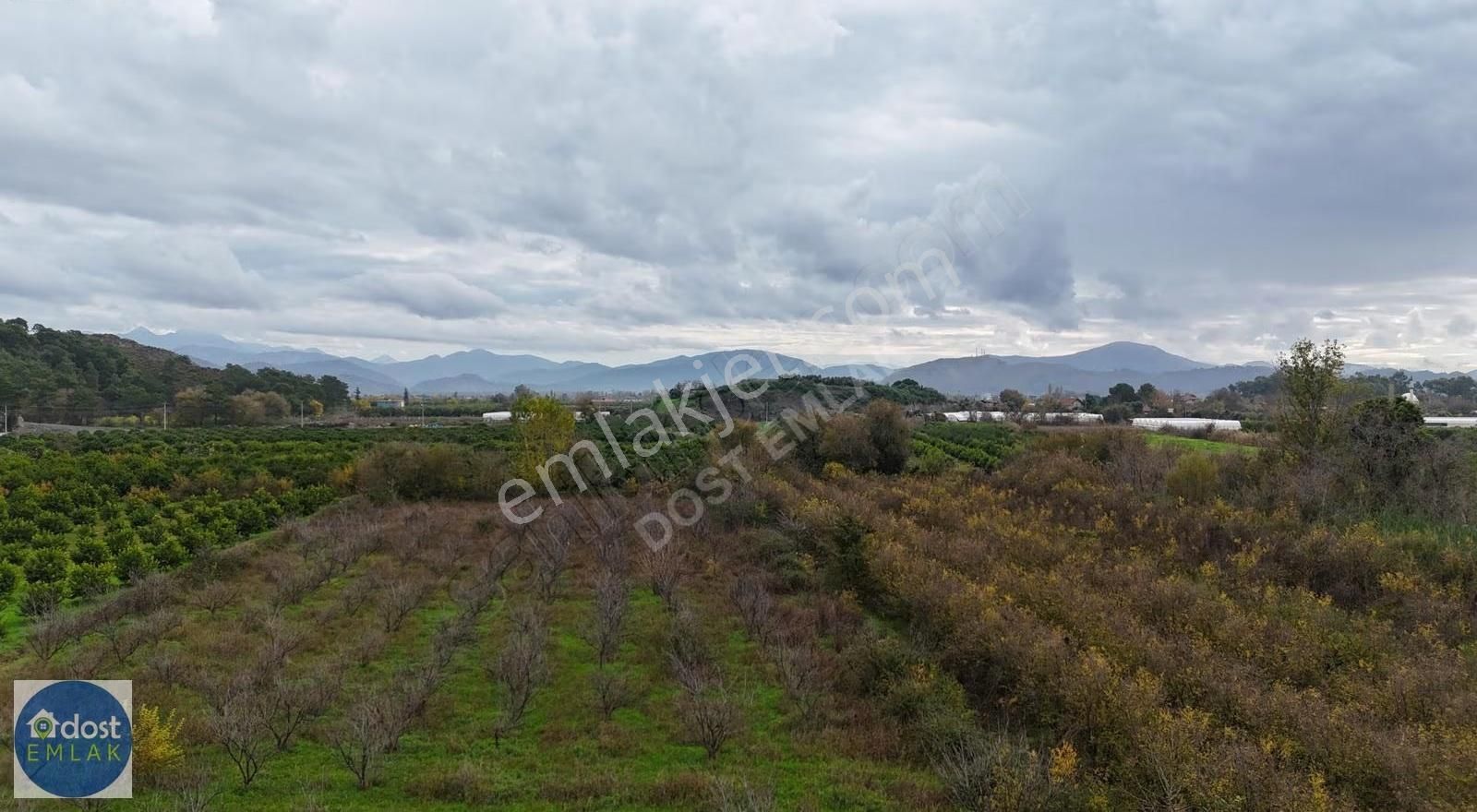 Ortaca Yeşilyurtta Acil Satılık 4175 M² Tek Tapu Şeftali Bahçesi - Görsel 14