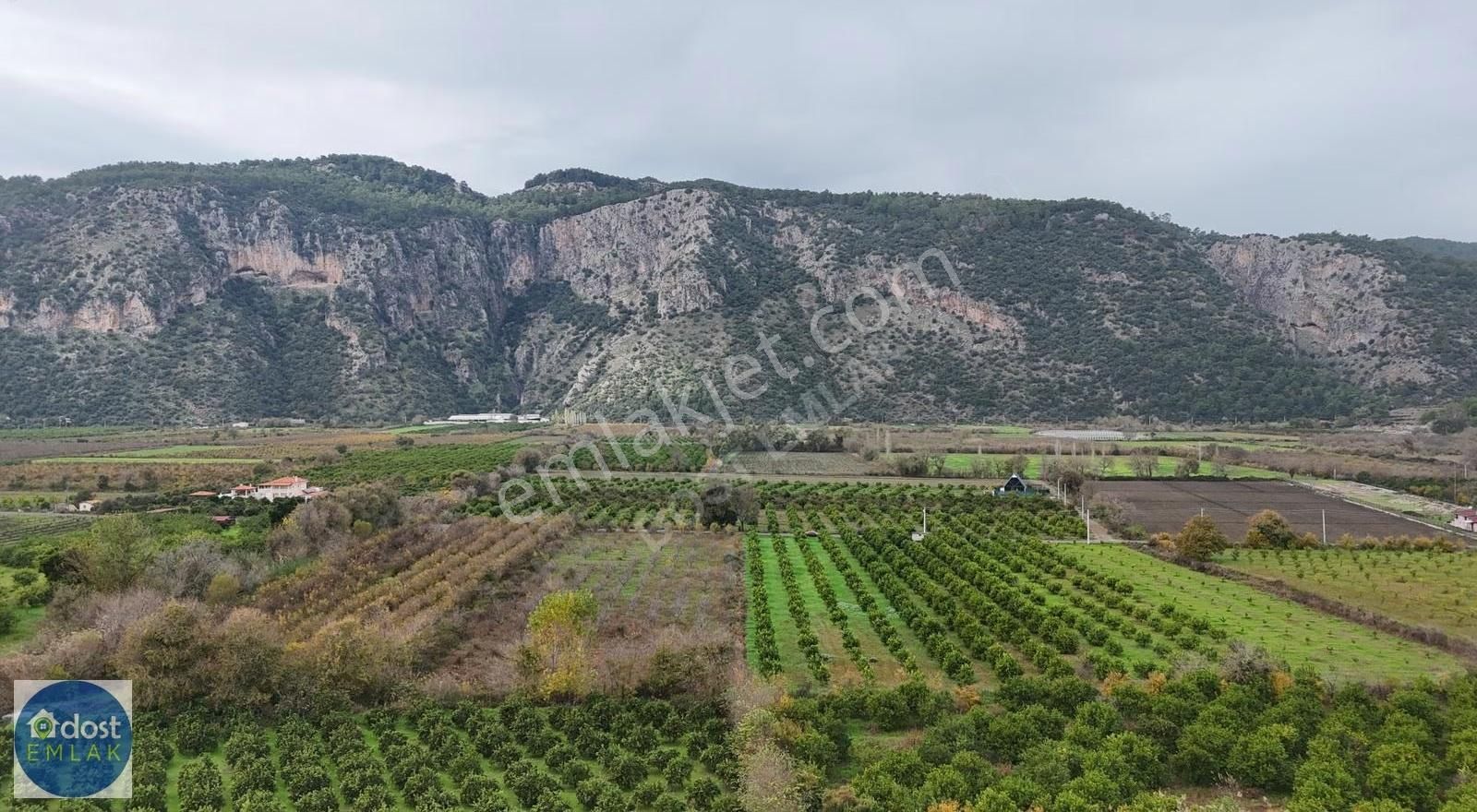 Ortaca Yeşilyurtta Acil Satılık 4175 M² Tek Tapu Şeftali Bahçesi - Görsel 27
