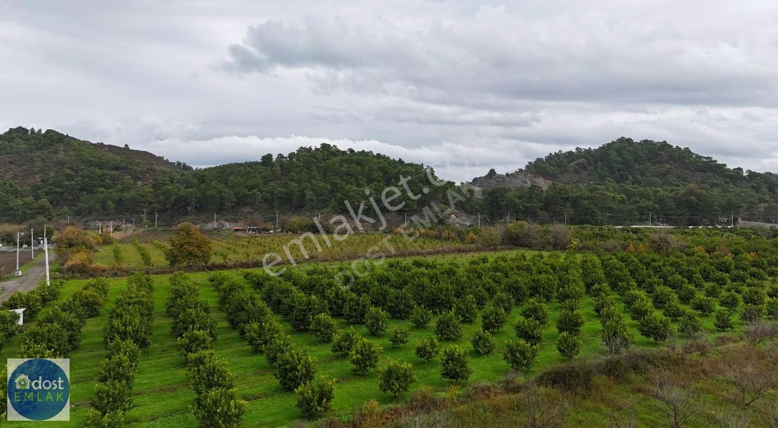 Ortaca Yeşilyurtta Acil Satılık 4175 M² Tek Tapu Şeftali Bahçesi - Görsel 12