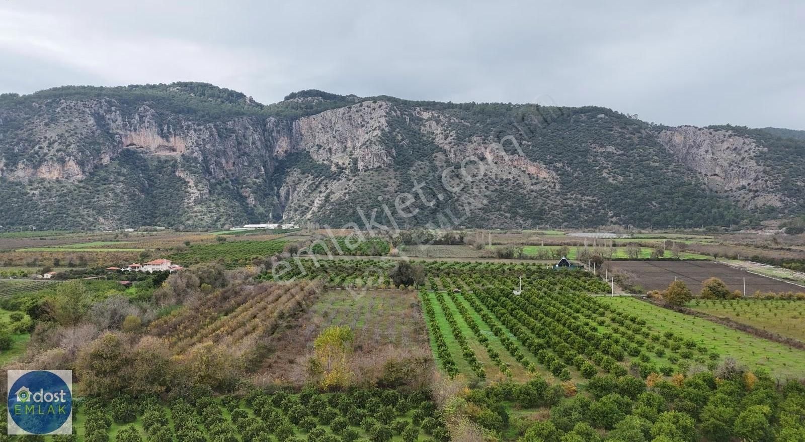 Ortaca Yeşilyurtta Acil Satılık 4175 M² Tek Tapu Şeftali Bahçesi - Görsel 9
