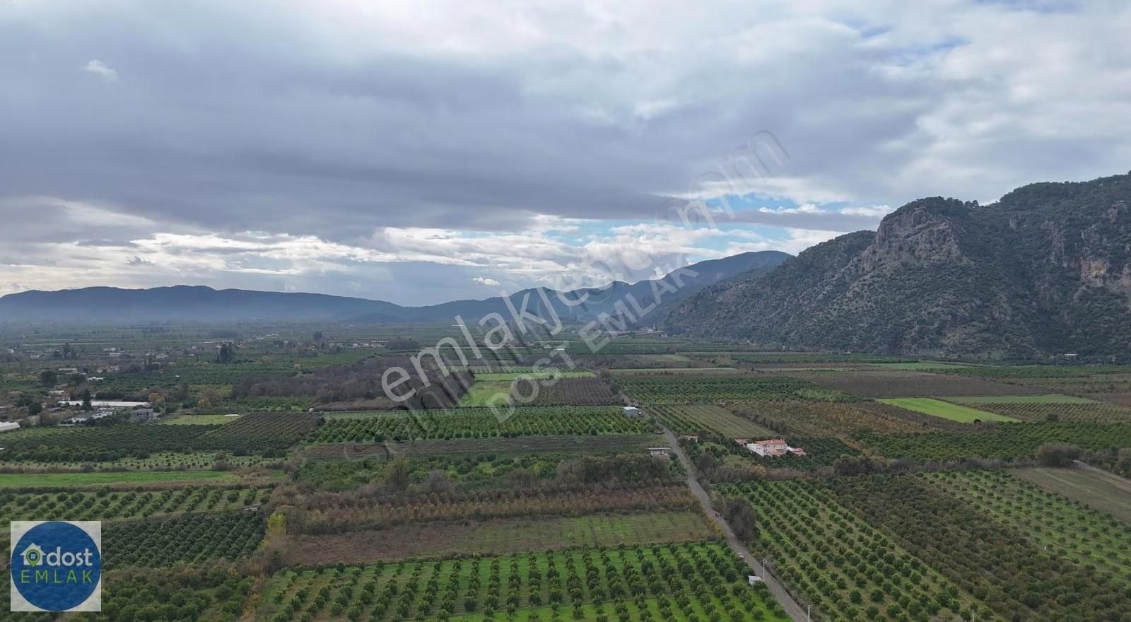 Ortaca Yeşilyurtta Acil Satılık 4175 M² Tek Tapu Şeftali Bahçesi - Görsel 7