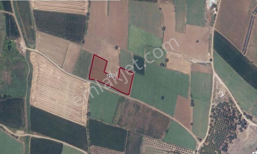 İdenova Gayrimenkulden Karacabeyde Fırsat Satılık Tarla