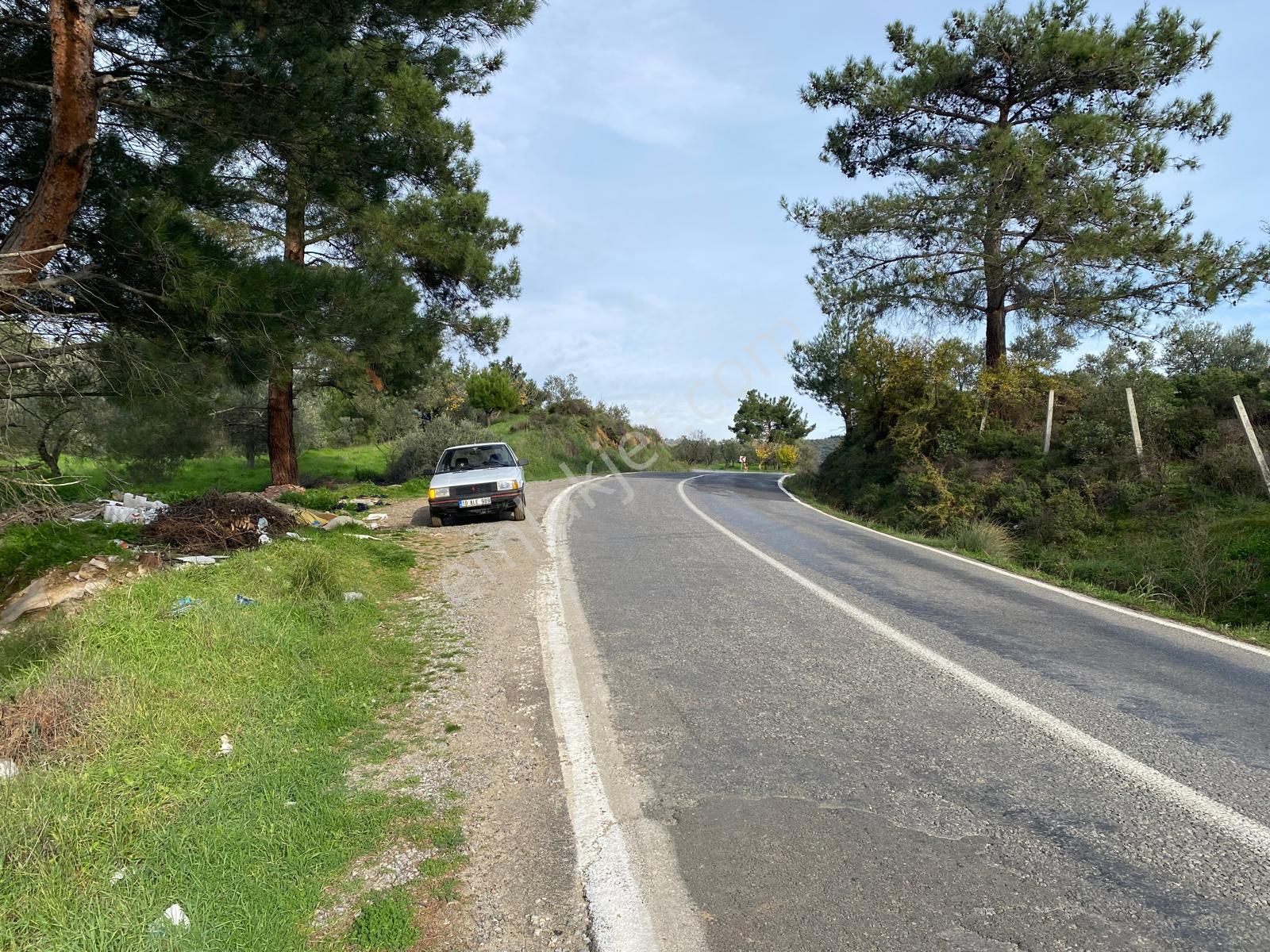 Balıkesir Edremit Çamcı Köyünde 14160 M² Asfalt Cepheli Satılık Zeytinlik - Görsel 25