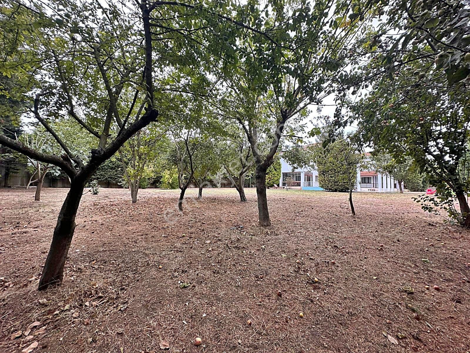 Tepekent'te 250o Metre² Arsa Içerisinde 300 M² Kapalı Alan Villa !! - Görsel 13