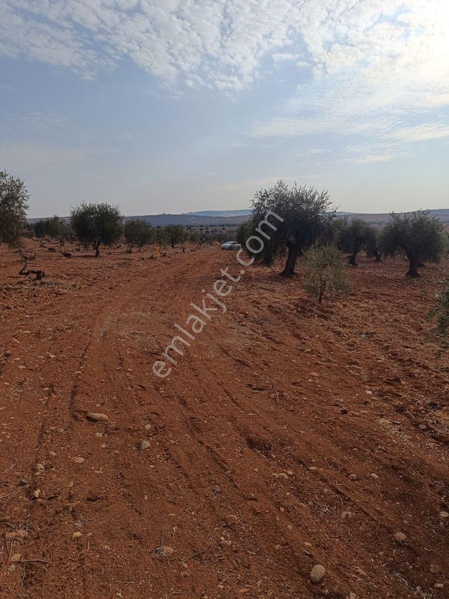Çözüm Gayrimenkulden Yatırımlık Arazi