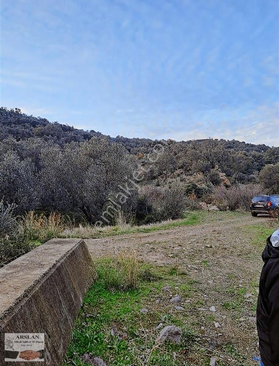 Arslan Emlaktan Satılık Zeytinlik - Görsel 11