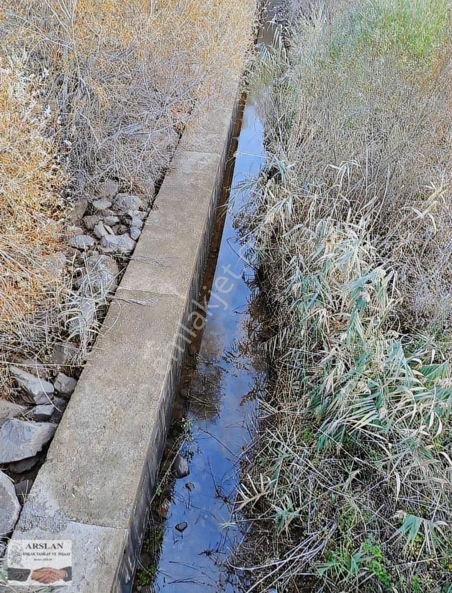 Arslan Emlaktan Satılık Zeytinlik - Görsel 13