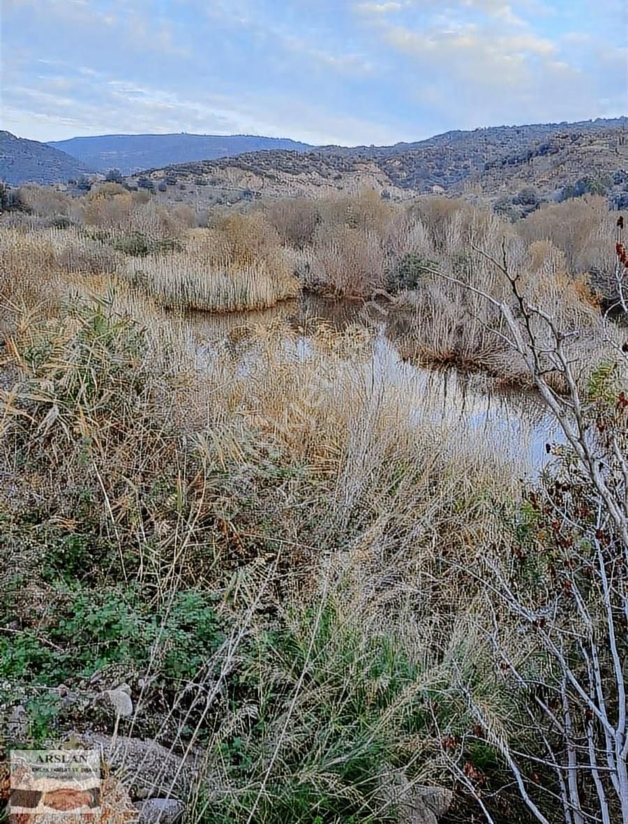 Arslan Emlaktan Satılık Zeytinlik - Görsel 12