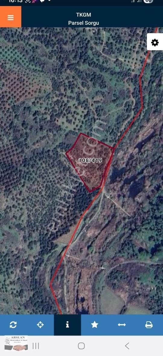 Arslan Emlaktan Satılık Zeytinlik