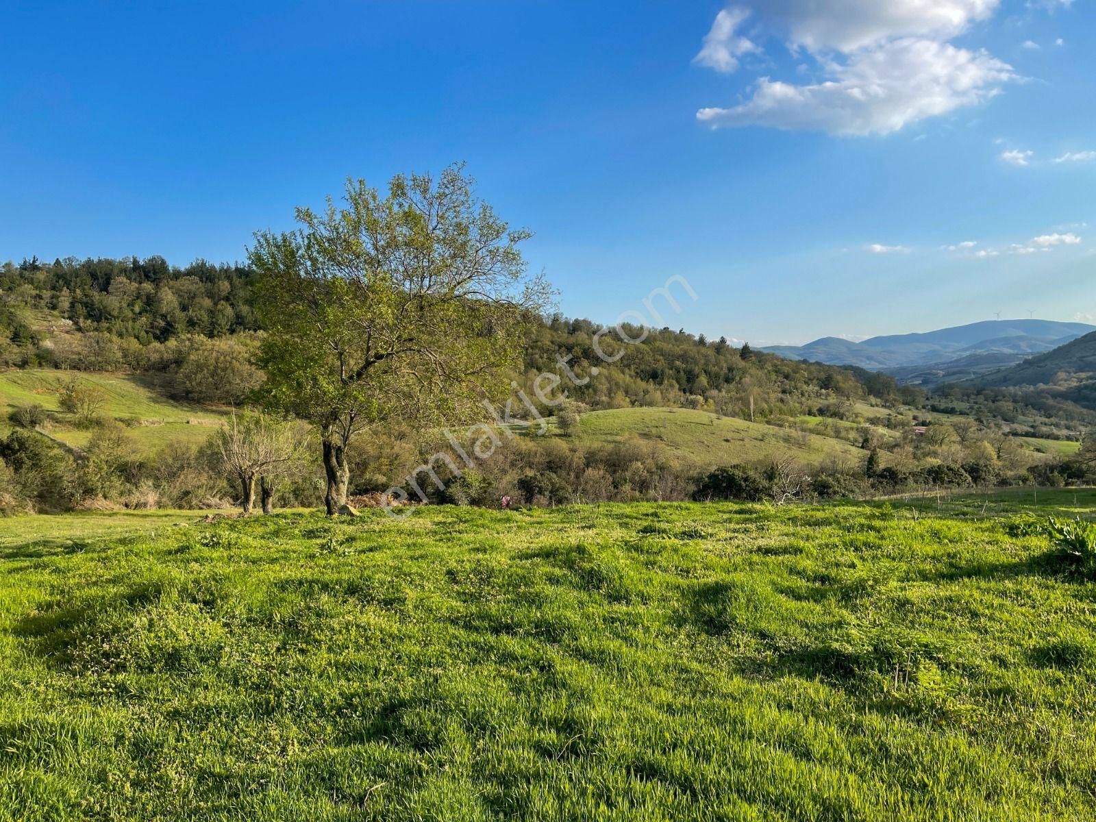 Oben'den Çanakkale Biga Çömlekçi Köyünde 320 M² İmarlı Arsa - Görsel 14