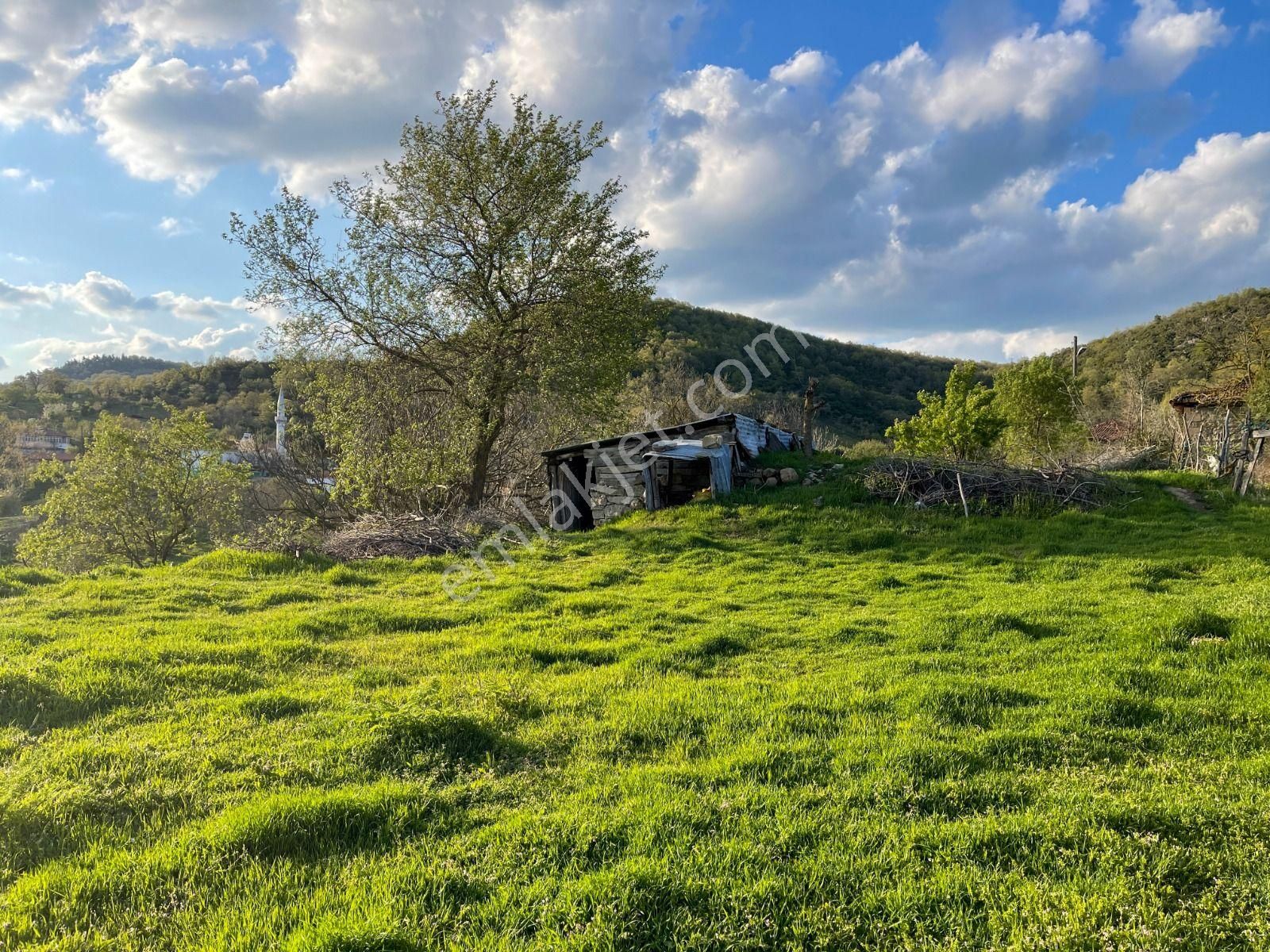Oben'den Çanakkale Biga Çömlekçi Köyünde 320 M² İmarlı Arsa - Görsel 15