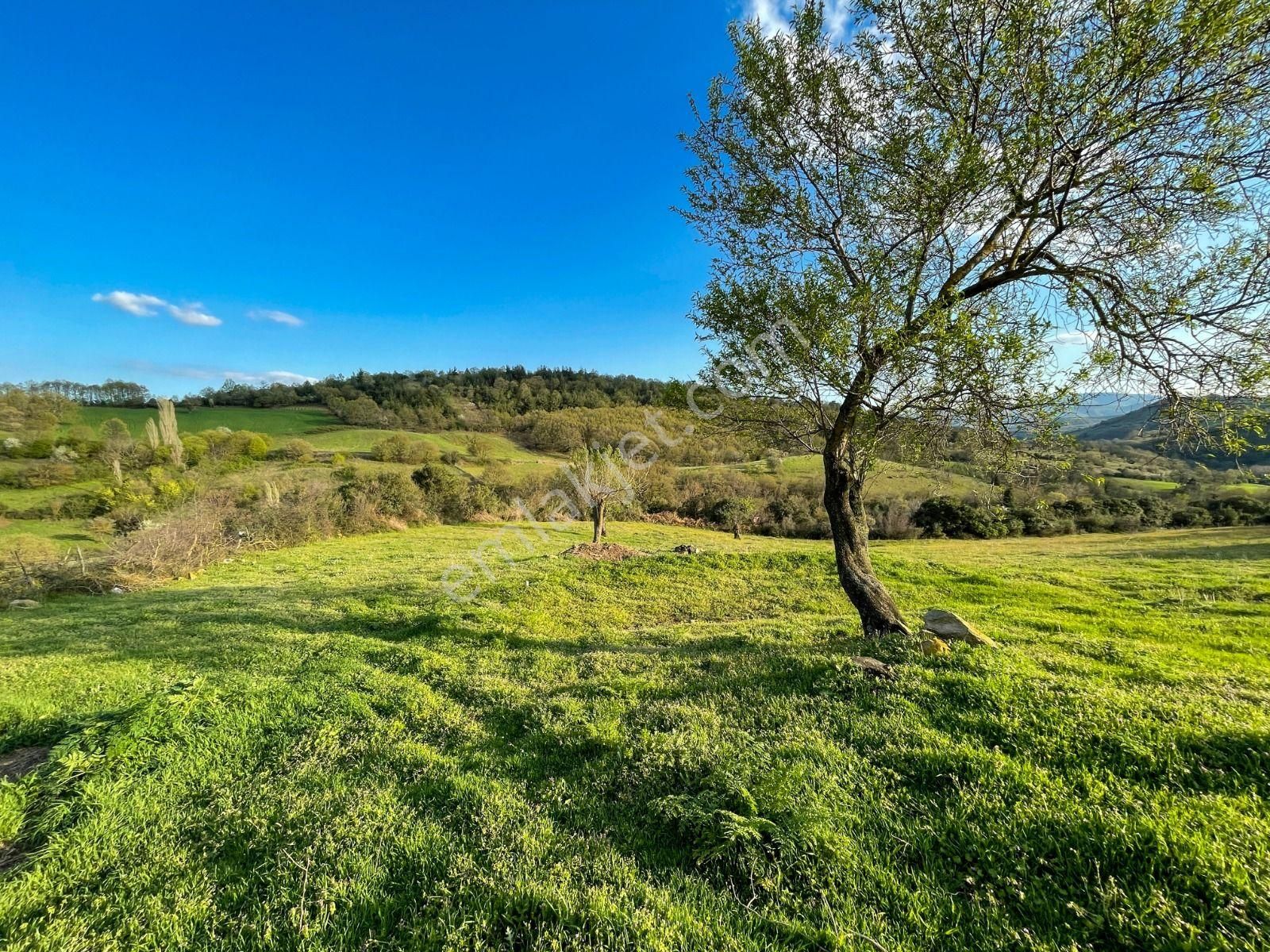 Oben'den Çanakkale Biga Çömlekçi Köyünde 320 M² İmarlı Arsa - Görsel 21