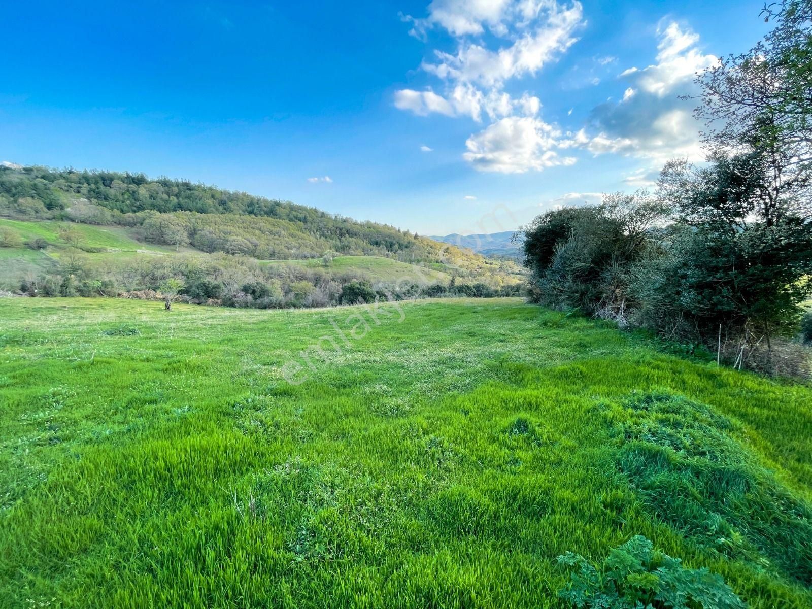 Oben'den Çanakkale Biga Çömlekçi Köyünde 320 M² İmarlı Arsa - Görsel 19