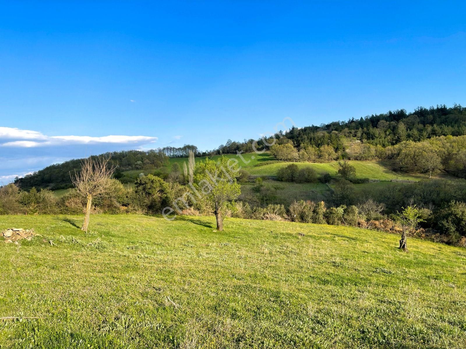 Oben'den Çanakkale Biga Çömlekçi Köyünde 320 M² İmarlı Arsa - Görsel 18