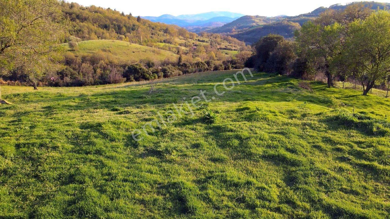 Oben'den Çanakkale Biga Çömlekçi Köyünde 320 M² İmarlı Arsa - Görsel 11