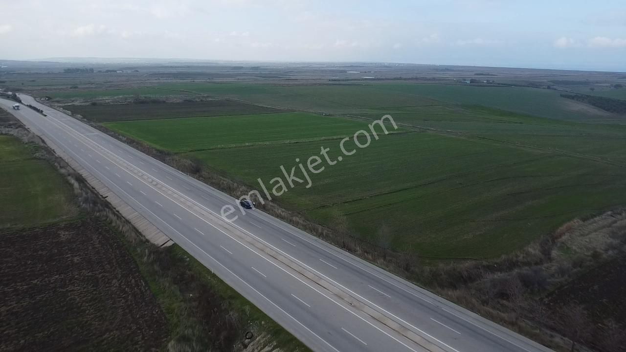 Biga Güvemalan Anayol Cepheli Satılık Tarla - Görsel 3