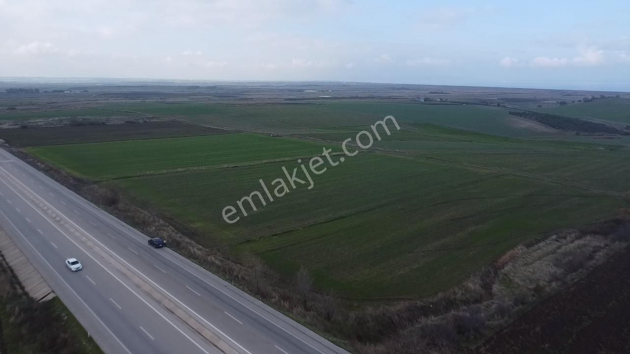 Biga Güvemalan Anayol Cepheli Satılık Tarla - Görsel 4
