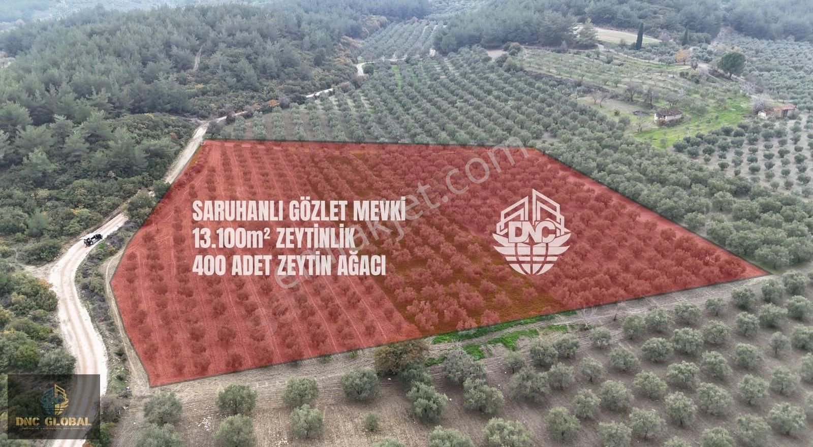 Manisa Saruhanlı Gözlet Mah. Satılık 11.300 M² Zeytinlik