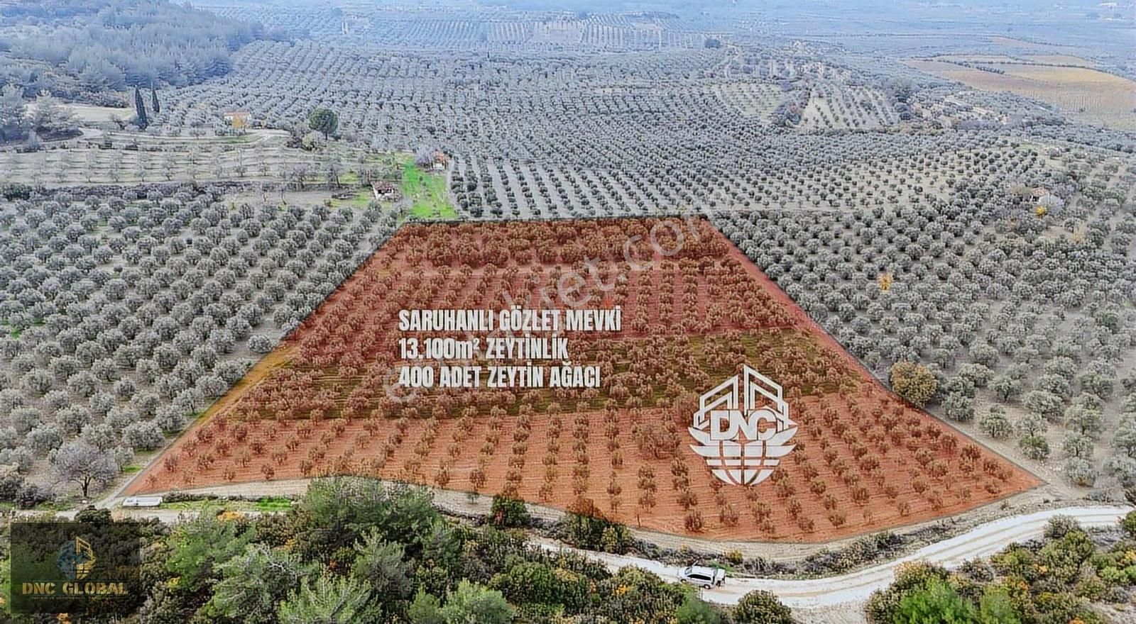 Manisa Saruhanlı Gözlet Mah. Satılık 11.300 M² Zeytinlik - Görsel 5