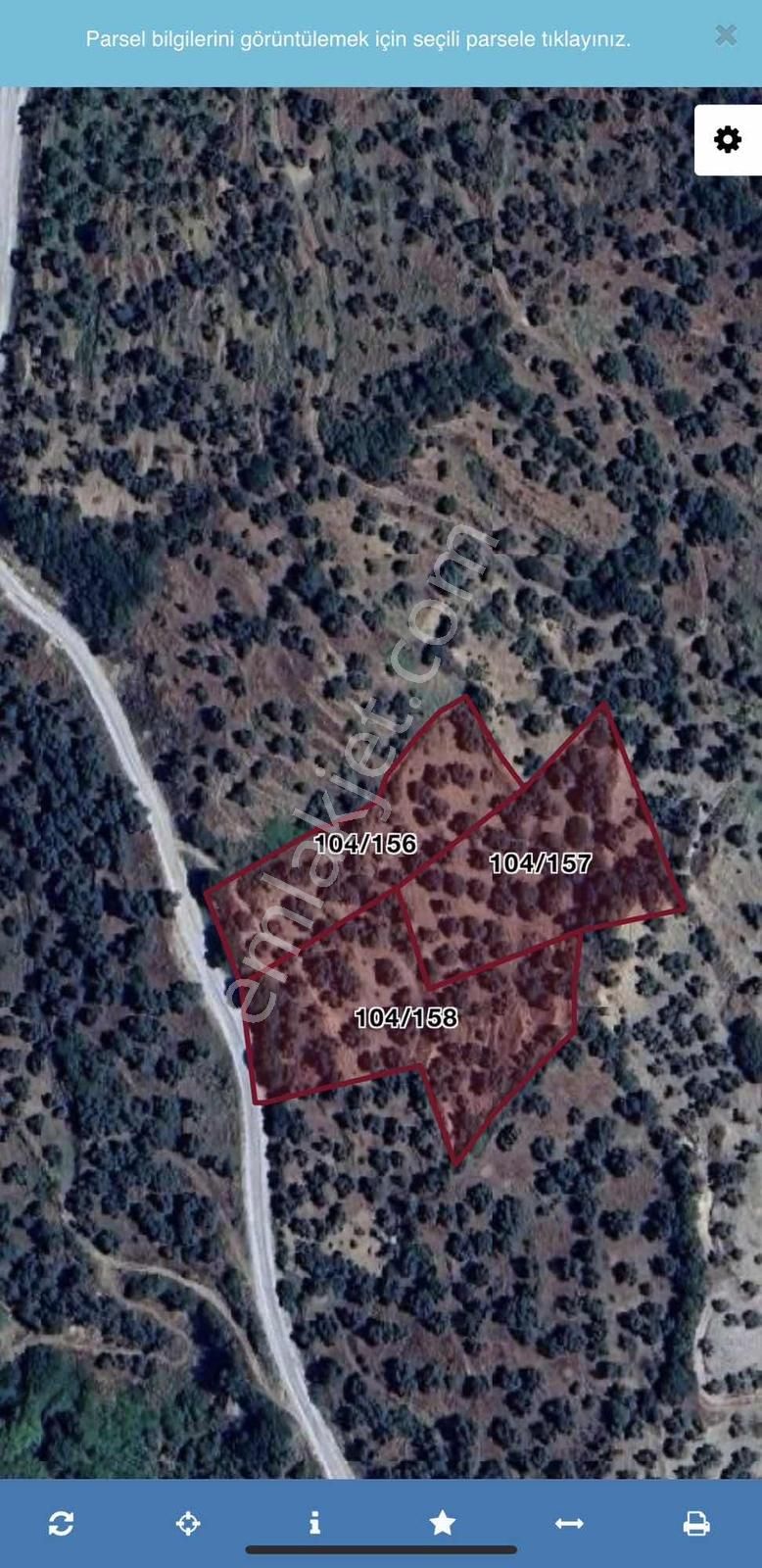 ..aydın Musluca Mahallesinde Satılık 8.400 M2 Zeytinlik - Görsel 9