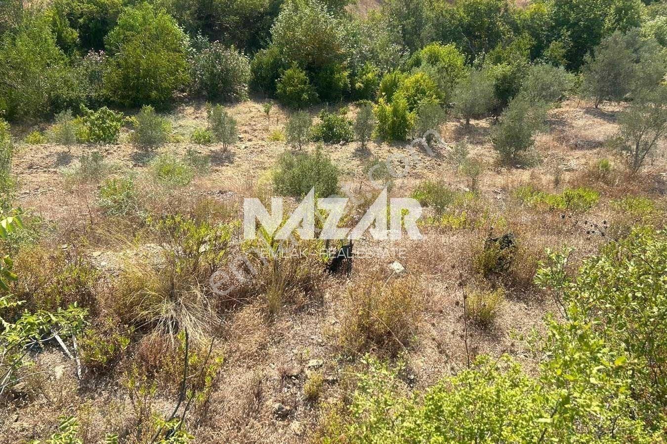 Alanya Çamlıca'da 2.253 M² Satılık Tarla - Görsel 11