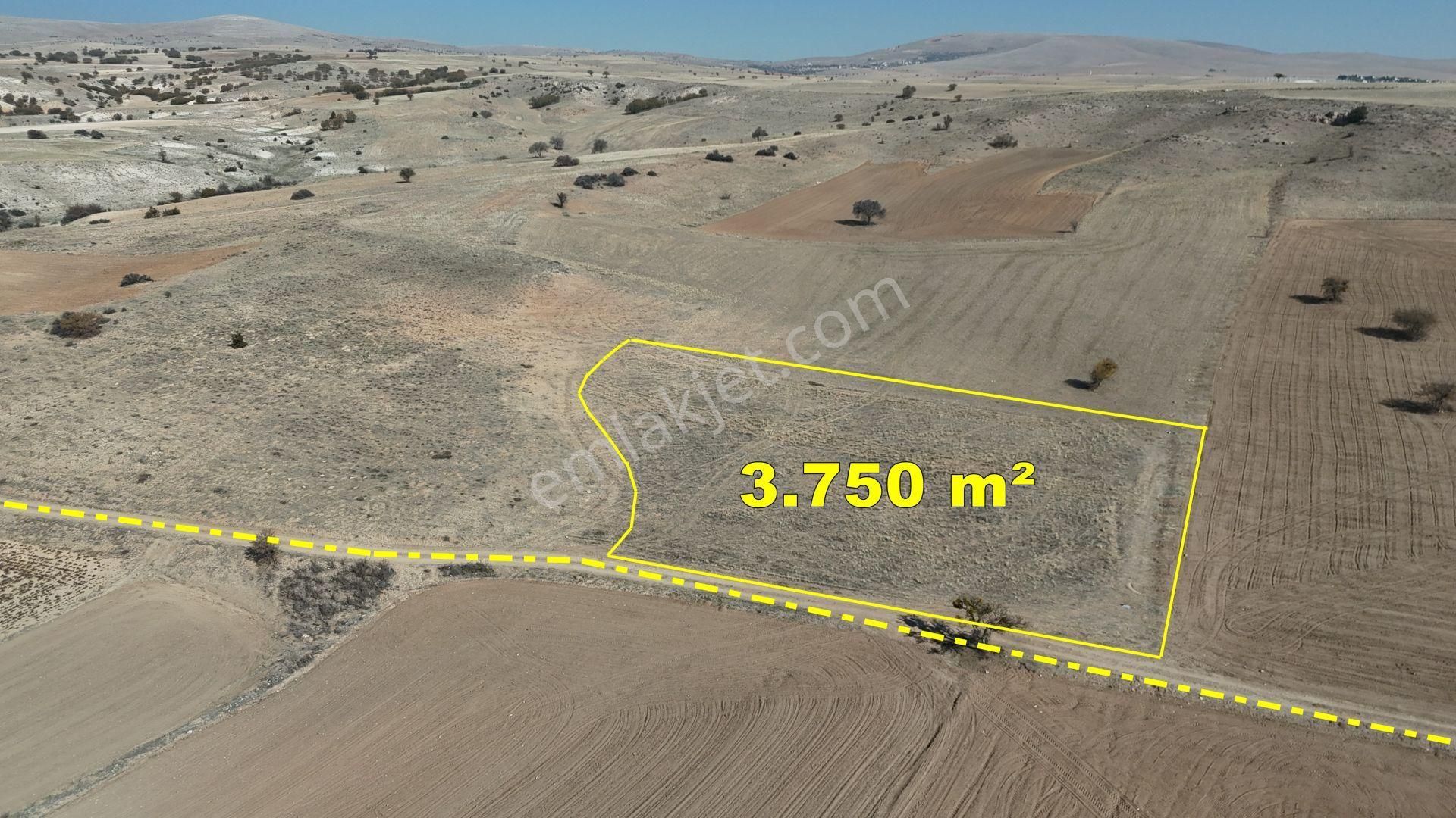 💎 Yatırımlık 3.750 M² Müstakil Tarla – Konya / Meram / Güneydere 📈 - Görsel 2