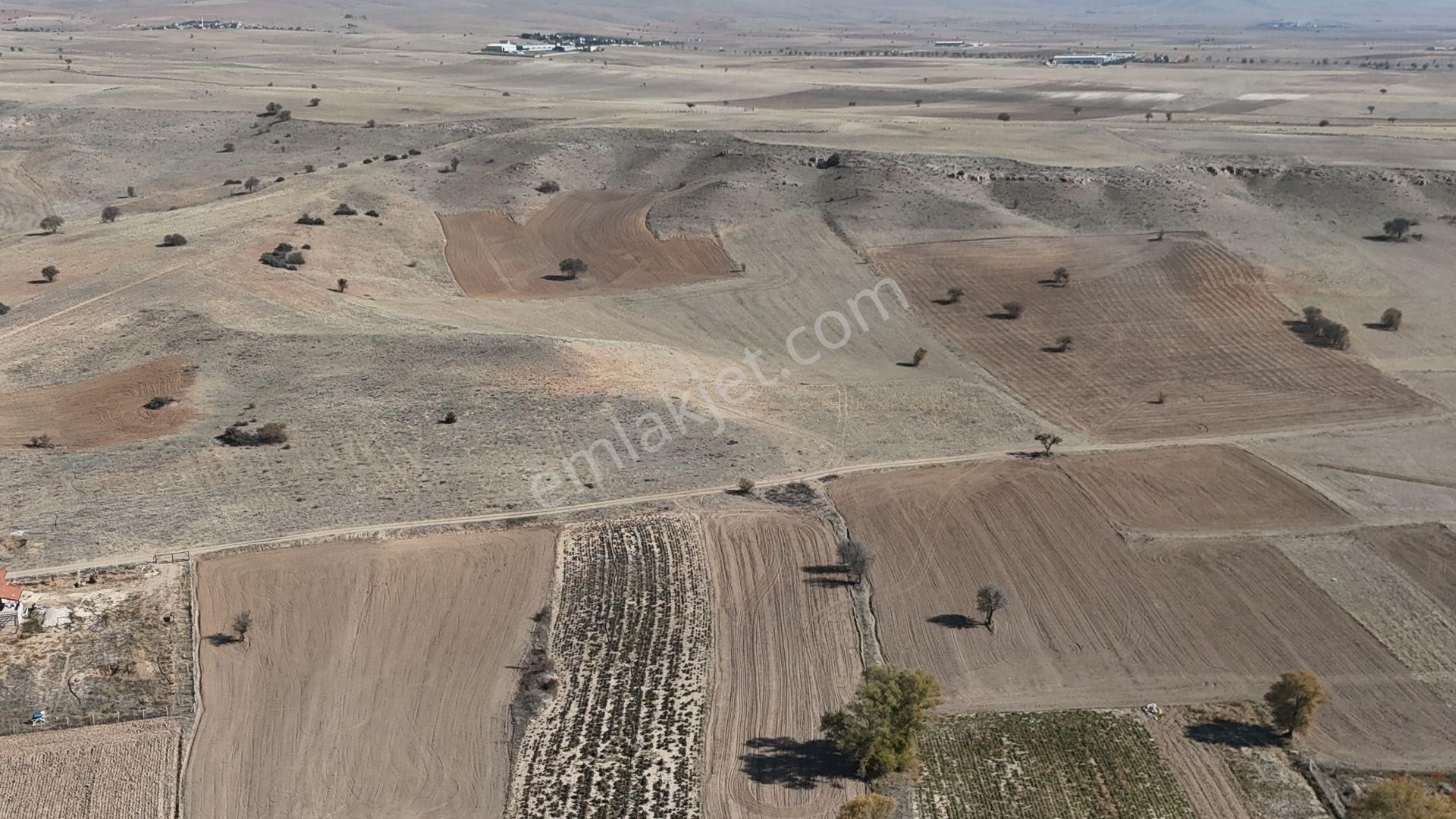 💎 Yatırımlık 3.750 M² Müstakil Tarla – Konya / Meram / Güneydere 📈 - Görsel 7