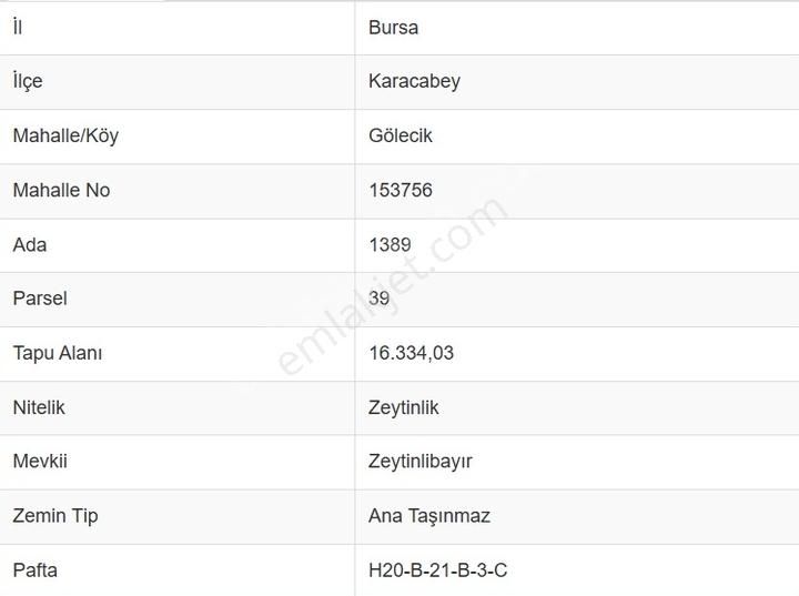 Karacabey Gölecik Köyünde Satılık Bakımlı Zeytinlik - Görsel 6
