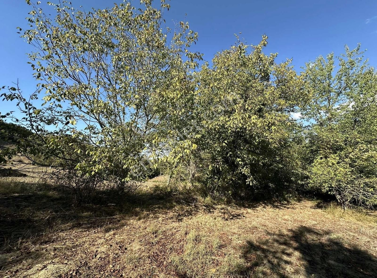 Özdemirden Tek Tapu Bahçe Yola Cephe 261 M2