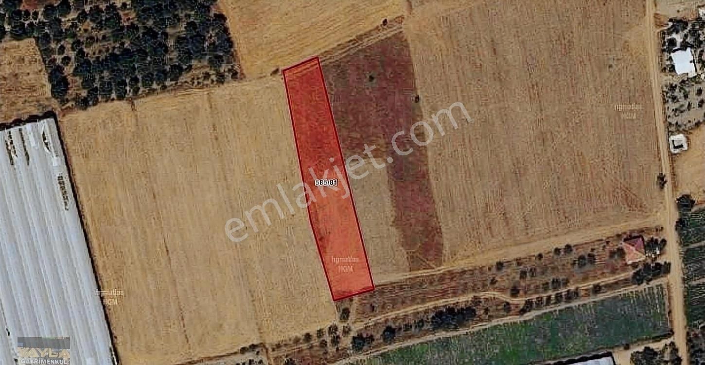 Korkuteli Yeşilyayla Mah. 2,300 M2 Tarla - Görsel 7